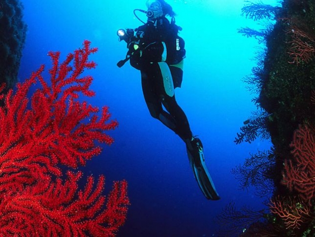 Pianottoli Diving 